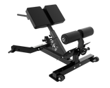 ALPHA 45 DEGREE BACK EXTENSION